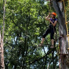 Agosto carrusel 2022 10