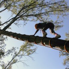 Agosto carrusel 2022 3